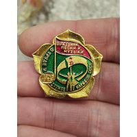 Праздник песни и музыки