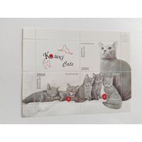 Беларусь 2009   бл.  кошки