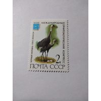 СССР 1982 МЕЖДУНАРОДНЫЙ ОРНИТОЛОГИЧЕСКИЙ КОНГРЕСС