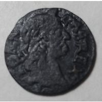 Боратинка 1666(2)