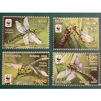 2010 WWF. Рогатый дедка Беларусь