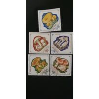 Монголия грибы 5шт