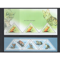 Фауна Кошки Гвинея 2011** Домашние Животные