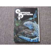 Амфибии Рептилии