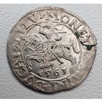 Полугрош 1561 яркий штемпельный блеск