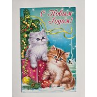 Кот АВ-Принт С новым годом