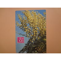 8 марта.  Мимозы.  1970 г.