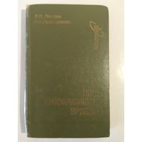 Полупроводниковые приборы