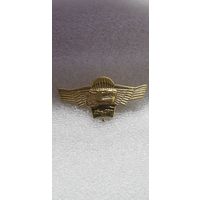 45 гв.ОРП ВДВ Россия*