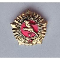 ГТО 5 степень. Ф-10.