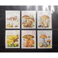 Германия. 1980 год. Флора. Грибы (967)