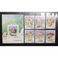 Афганистан. 1996 год. Флора. Грибы. Блок и 6 марок (989)