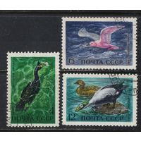 СССР 1972 Водоплавающие птицы Полная #4024,4025,4027