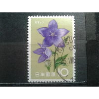 Япония, 1961. Колокольчик крупноцветковый. Mi-0,8 евро гаш.