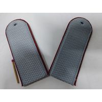 Погоны ФСИН. длина 13 см