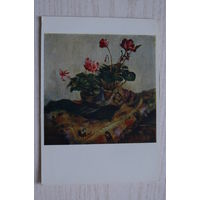 Мясникова А., Цикламены; 1963, чистая.