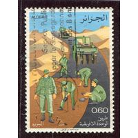 Алжир. Строительство автодорожных трасс