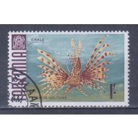 [1212] Танзания 1967. Фауна.Рыбы.Крылатка-зебра.1шил. Гашеная марка.