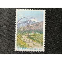 Япония, 2000. Весна в Азумино. Живопись