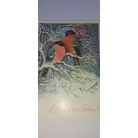 С новым годом! 1979г подписана