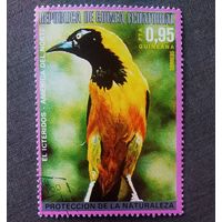 Марка Экваториальная Гвинея 1976 год Птицы