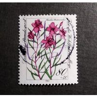 Марка Германия 1983 год Цветы