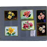 УМ АЛЬ КВАЙН, 1972, флора РОЗЫ, , серия 6м, чистая