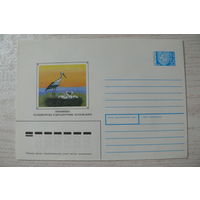 1994, ХМК, Беларусь, Медведев А., Припятский заповедник (аист).