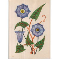 Чистая открытка Польша "Кобея" худ. Галина Миссунова