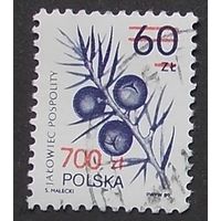 Польша 1990 стандарт, флора, ягоды 3269 гаш
