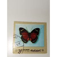 Манама. Бабочка