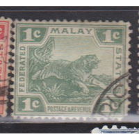 Тигр фауна Федерация Малайских государств 1906 год  Лот 1