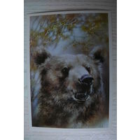 Исаков А., Медведь; 1989, чистая.