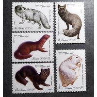 Марки СССР 1980 год Пушные звери