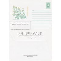 Беларусь 1996 Палын горкi. Полынь горькая (к4)