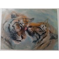 Тигры. Юлия Неприятель. Авторская открытка, глянец