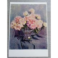 1960. Малютина. Пионы