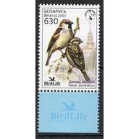 Беларусь 2003. Птица года. Воробей 1 марка (259)