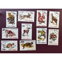 Румыния 1993 год ,,Фауна,,полная серия