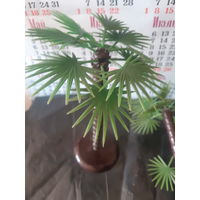 Пальма СССР сувенир