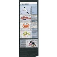 Нидерланды. Фауна Северного моря