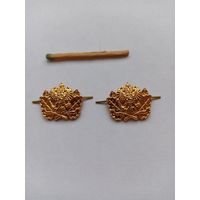 2 эмблемы Лесная охрана РФ, разные.