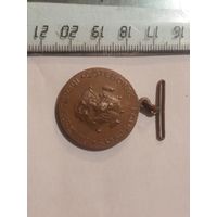 Медаль Швеция