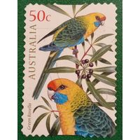 Австралия 2005. Фауна. Птицы. Попугаи. Green Rosella