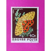 Венгрия. Бабочка. ( 1 марка ) 1974 года. 3-6.