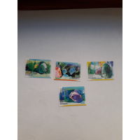 Марки Беларусь 2006 рыбы