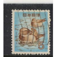 Япония 1955 Утка-мандаринка Стандарт #648А