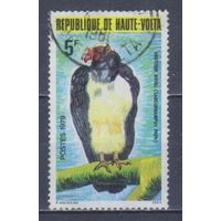 [277] Верхняя Вольта 1979. Фауна.Птицы.Гриф. Гашеная марка.