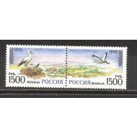 ФФ1 Россия 1995 Аисты
