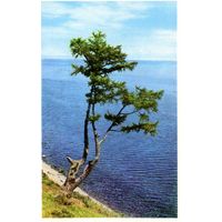 Календарик карманный Авиация Аэрофлот 1977